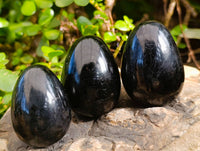 Polished Black Tourmaline Gemstone Eggs x 6 From Madagascar - Toprock Gemstones and Minerals