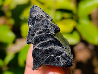 Natural Triangular Flat Topped Terminated Schorl Black Tourmaline Specimens x 24 From Khorigas, Namibia - Toprock Gemstones and Minerals