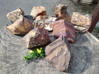 Natural Selected Nguni Jasper Cobbed Specimens x 12 From Prieska, South Africa - Toprock Gemstones and Minerals