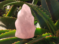 Polished Gemmy Rose Quartz Flames x 2 Madagascar - Toprock Gemstones and Minerals