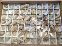 Natural Golden Limonite Fairy Spirit Quartz Single Crystals x 70 From South Africa - Toprock Gemstones and Minerals