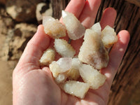Natural Golden Limonite Fairy Spirit Quartz Single Crystals x 70 From South Africa - Toprock Gemstones and Minerals