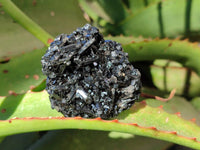 Natural Schorl Black Tourmaline Specimens x 12 From Erongo, Namibia - Toprock Gemstones and Minerals