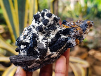 Natural Schorl Black Tourmaline Specimens x 6 From Erongo, Namibia - Toprock Gemstones and Minerals