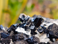 Natural Schorl Black Tourmaline Specimens x 6 From Erongo, Namibia - Toprock Gemstones and Minerals