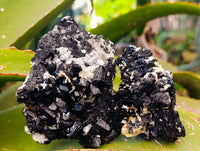 Natural Schorl Black Tourmaline Specimens x 6 From Erongo, Namibia - Toprock Gemstones and Minerals