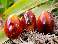 Polished Carnelian Agate Gemstone Eggs x 12 From Madagascar - Toprock Gemstones and Minerals