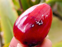 Polished Carnelian Agate Gemstone Eggs x 12 From Madagascar - Toprock Gemstones and Minerals