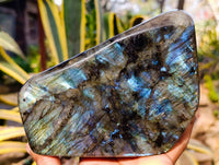 Polished Labradorite Standing Free Form x 1 From Tulear, Madagascar - Toprock Gemstones and Minerals