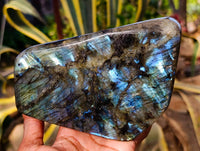 Polished Labradorite Standing Free Form x 1 From Tulear, Madagascar - Toprock Gemstones and Minerals