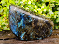 Polished Labradorite Standing Free Form x 1 From Tulear, Madagascar - Toprock Gemstones and Minerals