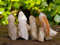 Natural Golden Limonite Coated Spirit Quartz Crystals x 35 From Boekenhouthoek, South Africa - Toprock Gemstones and Minerals
