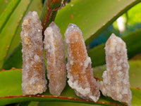Natural Golden Limonite Coated Spirit Quartz Crystals x 35 From Boekenhouthoek, South Africa - Toprock Gemstones and Minerals