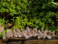 Natural Golden Limonite Coated Spirit Quartz Crystals x 35 From Boekenhouthoek, South Africa - Toprock Gemstones and Minerals