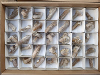 Natural Golden Limonite Coated Spirit Quartz Crystals x 35 From Boekenhouthoek, South Africa - Toprock Gemstones and Minerals