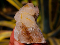 Natural Golden Limonite Coated Spirit Quartz Crystals x 35 From Boekenhouthoek, South Africa - Toprock Gemstones and Minerals
