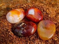 Polished Carnelian Agate Palm Stones x 28 From Madagascar - Toprock Gemstones and Minerals