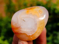 Polished Carnelian Agate Palm Stones x 28 From Madagascar - Toprock Gemstones and Minerals