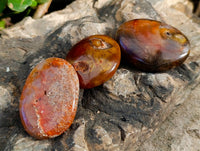 Polished Carnelian Agate Palm Stones x 28 From Madagascar - Toprock Gemstones and Minerals
