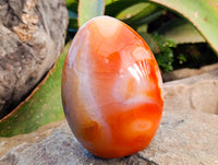 Polished Carnelian Agate Standing Free Forms x 2 From Madagascar - Toprock Gemstones and Minerals