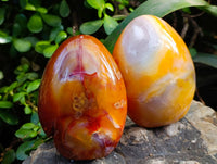 Polished Carnelian Agate Standing Free Forms x 2 From Madagascar - Toprock Gemstones and Minerals