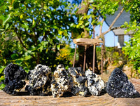Natural Schorl Black Tourmaline Specimens x 6 From Erongo, Namibia - Toprock Gemstones and Minerals