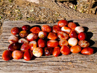 Polished Carnelian Agate Palm Stones x 35 From Madagascar - Toprock Gemstones and Minerals