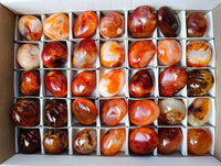 Polished Carnelian Agate Palm Stones x 35 From Madagascar - Toprock Gemstones and Minerals