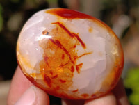 Polished Carnelian Agate Palm Stones x 35 From Madagascar - Toprock Gemstones and Minerals