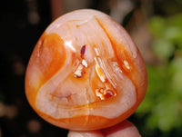 Polished Carnelian Agate Palm Stones x 35 From Madagascar - Toprock Gemstones and Minerals