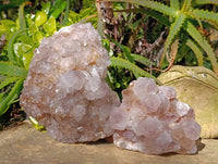 Natural Amethyst Spirit Quartz Clusters x 2 From Boekenhouthoek, South Africa - Toprock Gemstones and Minerals