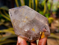 Polished Clear & Smokey Quartz Crystals x 6 From Madagascar - Toprock Gemstones and Minerals