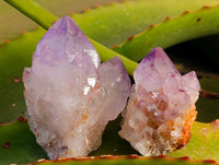 Natural Amethyst Spirit Quartz Specimens x 35 From Boekenhouthoek, South Africa - Toprock Gemstones and Minerals