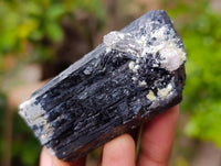 Natural Schorl Black Tourmaline Specimens x 6 From Erongo, Namibia - Toprock Gemstones and Minerals