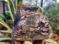 Natural Selected Nguni Jasper Cobbed Specimens x 12 From Prieska, South Africa - Toprock Gemstones and Minerals