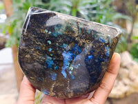 Polished Labradorite Standing Free Forms x 2 From Tulear, Madagascar - Toprock Gemstones and Minerals