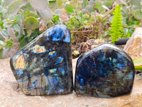 Polished Labradorite Standing Free Forms x 2 From Tulear, Madagascar - Toprock Gemstones and Minerals