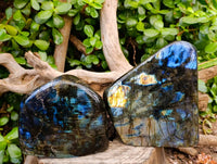 Polished Labradorite Standing Free Forms x 2 From Tulear, Madagascar - Toprock Gemstones and Minerals