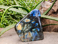 Polished Labradorite Standing Free Forms x 2 From Tulear, Madagascar - Toprock Gemstones and Minerals