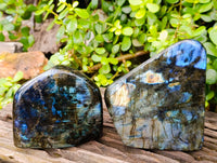 Polished Labradorite Standing Free Forms x 2 From Tulear, Madagascar - Toprock Gemstones and Minerals
