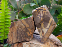 Natural Selected Nguni Jasper Cobbed Specimens x 24 From Prieska, South Africa - Toprock Gemstones and Minerals