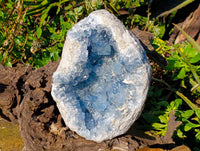 Natura Celestite Geode Specimen x 1 From Sakoany, Madagascar - Toprock Gemstones and Minerals