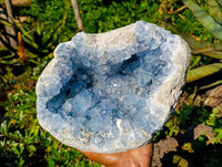 Natura Celestite Geode Specimen x 1 From Sakoany, Madagascar - Toprock Gemstones and Minerals