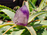 Polished Mixed Wonderland Inclusions Quartz including Citrine x 12 from Madagascar - Toprock Gemstones and Minerals