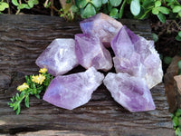 Polished Jacaranda Amethyst Quartz Crystals x 6 From Mumbwa, Zambia - Toprock Gemstones and Minerals