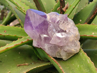 Polished Jacaranda Amethyst Quartz Crystals x 6 From Mumbwa, Zambia - Toprock Gemstones and Minerals