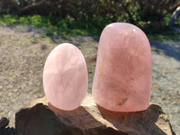 Polished Rose Quartz Standing Free Forms x 2 Madagascar - Toprock Gemstones and Minerals