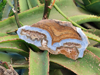 Polished On One Side Blue Lace Agate x 2 From Malawi - Toprock Gemstones and Minerals