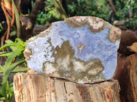 Polished On One Side Blue Lace Agate x 2 From Malawi - Toprock Gemstones and Minerals