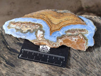 Polished On One Side Blue Lace Agate x 2 From Malawi - Toprock Gemstones and Minerals